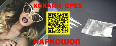 гидра Гатчина