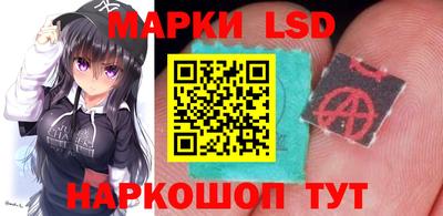гидра Гатчина