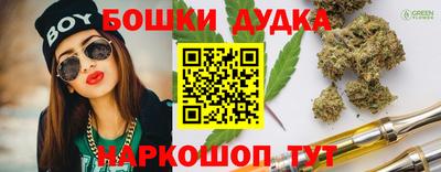 гидра Гатчина