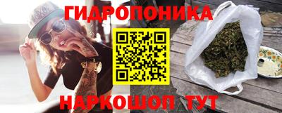 гидра Гатчина