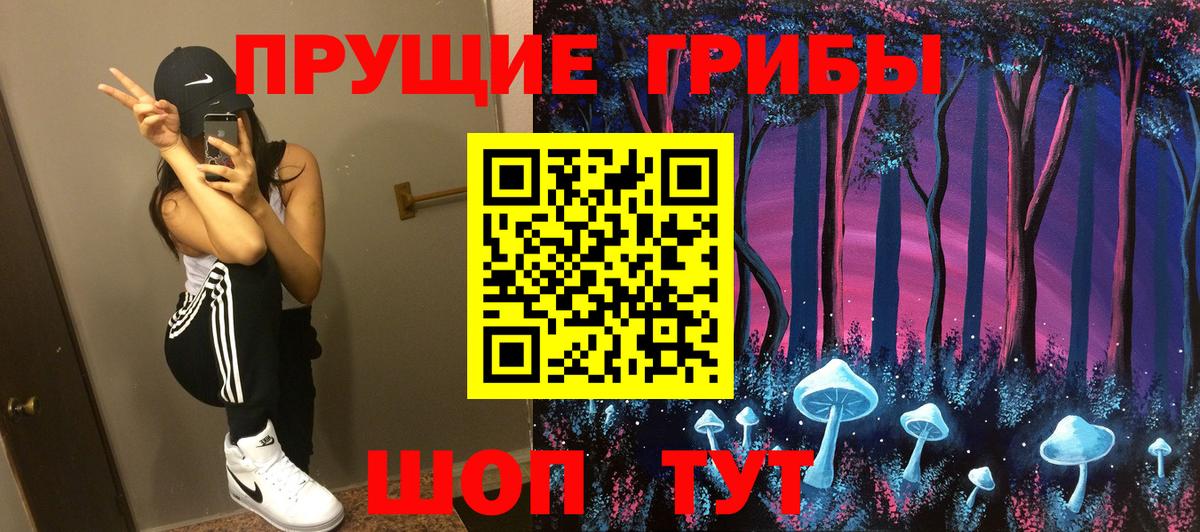 Псилоцибиновые грибы Cubensis  Вход с VPN  Павловский Посад 