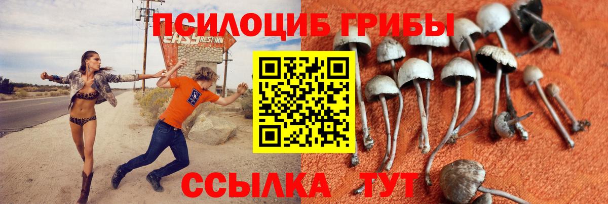 Псилоцибиновые грибы прущие грибы Павловский Посад